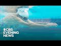 97 Year Old Swimmer Mighty Mo Refuses To Slow Down