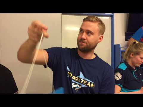 Kamprapport  Sarpsborg - Tunet