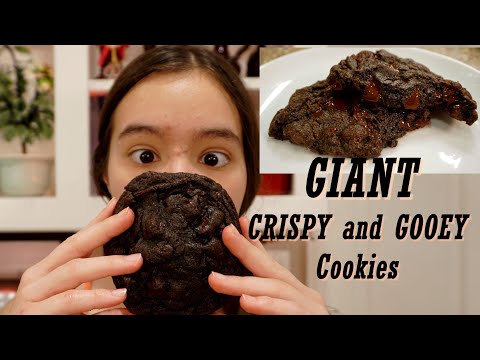 Famous Levain Bakery GOOEY Double Chocolate Chip Cookie Recipe!!! Part 2!