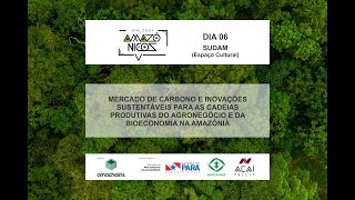 Mercado de Carbono e Inovações Sustentáveis para as Cadeias Produtivas Amazônicas