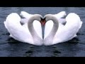 Bangla Movie Song Amar Moner Akashe