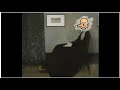 Mr Bean S Mother