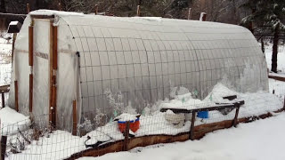 Winter Greenhouse  - $150 and works wonders!
