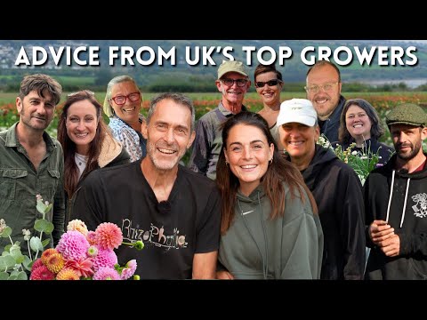 Ho visitato i migliori coltivatori di fiori della Gran Bretagna: ecco cosa ho imparato
