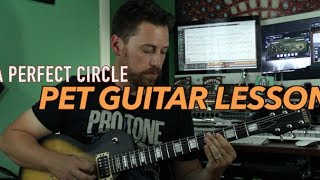 A Perfect Circle   Pet Guitar Lesson