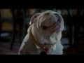 DOGFATHER - OFFICIAL TRAILER