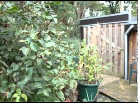 Huis te koop: Tienray, Stationslaan 2, 5865AK