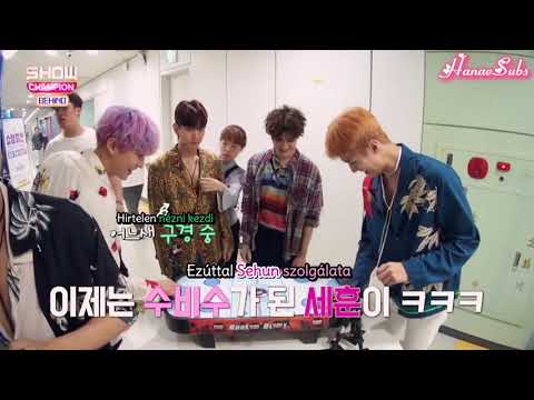 170816 EXO Show Champion Backstage (hun sub)