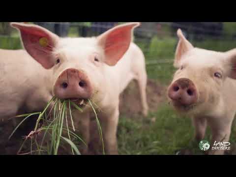 Wie friedlich und schön alles sein könnte 💚