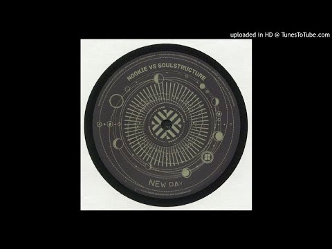 The Invisible Man  skyliner  Tim Cant & SoulStructure remix