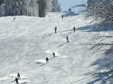 Alfi Nipic - Se Pohorje vidi