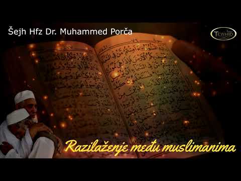 RAZILAŽENJE MEĐU MUSLIMANIMA - Hfz Dr. Muhamed Porča