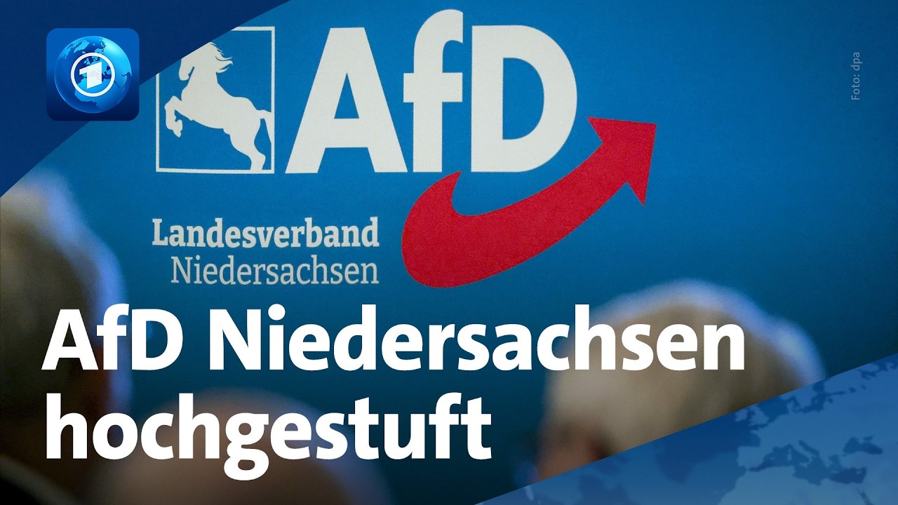 Verfassungsschutz: Darum gilt die AfD Niedersachsen jetzt als „gesichert rechtsextremistisch"
