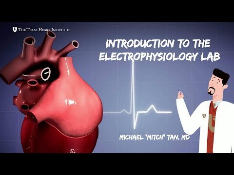 Understanding Electrophysiology Lab Concepts and Electrogram Interpretation