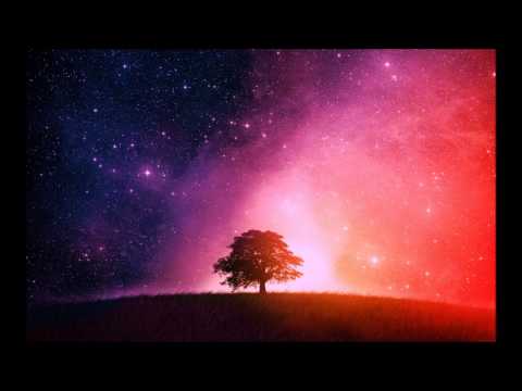 Dynalogic vs. Stock - Dynastock