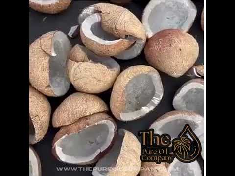 Coconut oil for ice cream