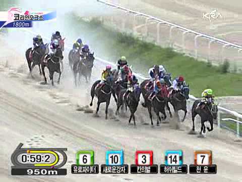 2010 Korean Oaks (G2) - Euro Fighter