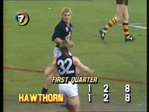 1986 VFL Grand Final  - Carlton v Hawthorn