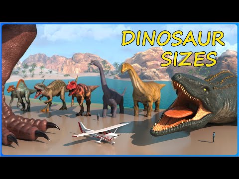 How BIG are DINOSAURS | Movie vs Real Dinosaur Size Comparison 3D 🦕