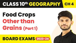 Food Crops Other than Grains (Part 1)- Agriculture | Class 10 - Geography - Chapter 4 | CBSE 2024-25