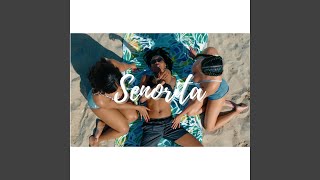 $enorita Music Video