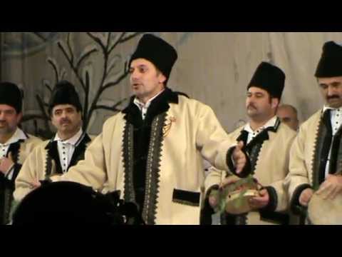 Dubasii de la Lasau 2011