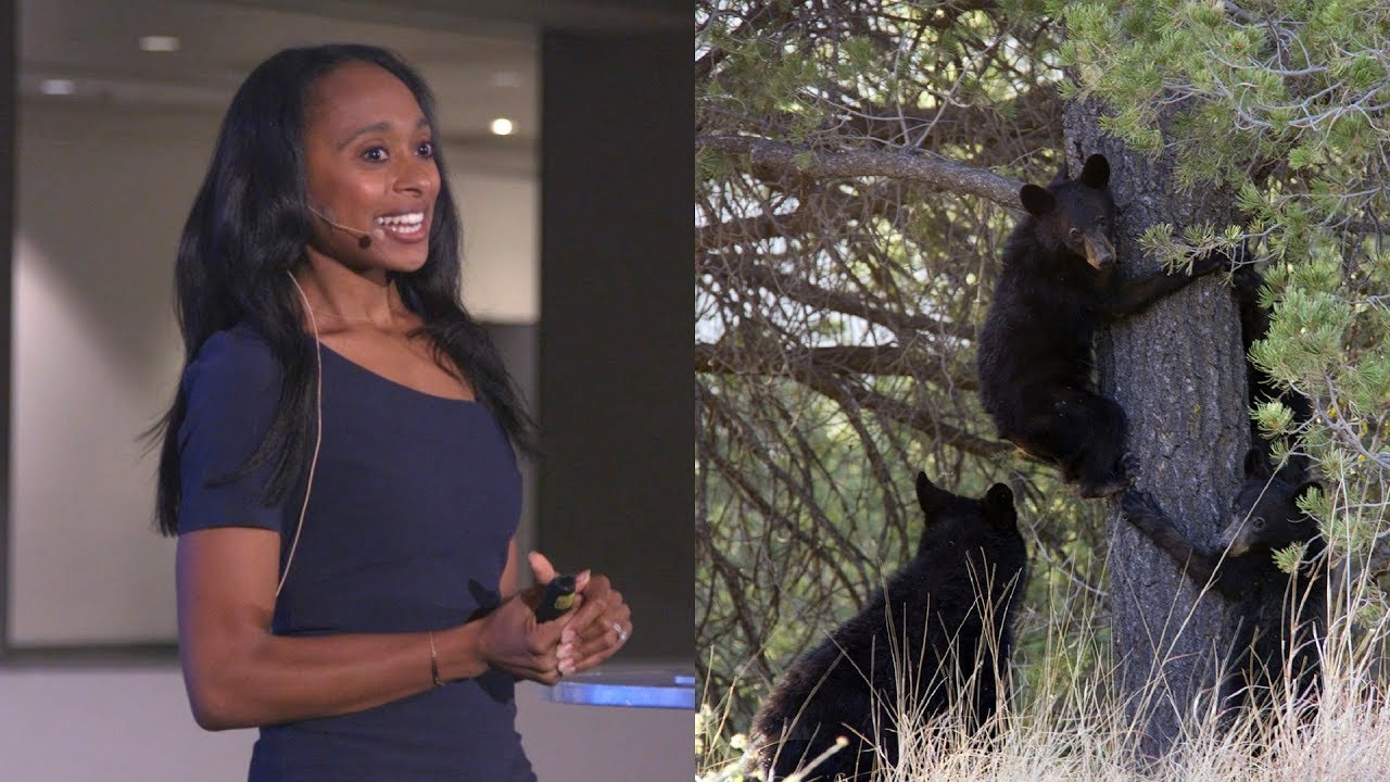 Humans and Conflicts With Bears: Oh My! – AMNH SciCafe