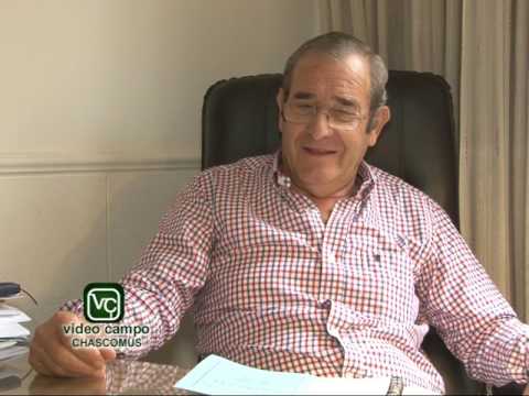 Colombo y Magliano Remate Televisado y Físico en Chascomús bloque 2