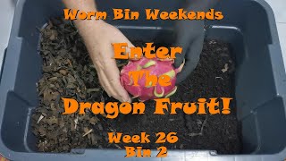 Worm Bin Weekends! Week 26 - Bin 2: Enter The Dragon Fruit!