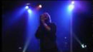 William Topley Drink Called Love Live in Boulder