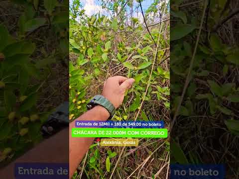 Chácara de 22.000m com córrego em Alexânia, Goiás