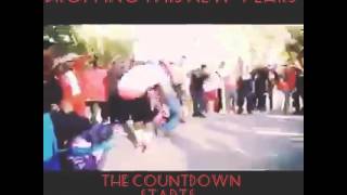 My Flag / da Homies by the game ft,mitchty slick