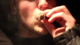 Coffee and Pot - LabCats (Music Video)