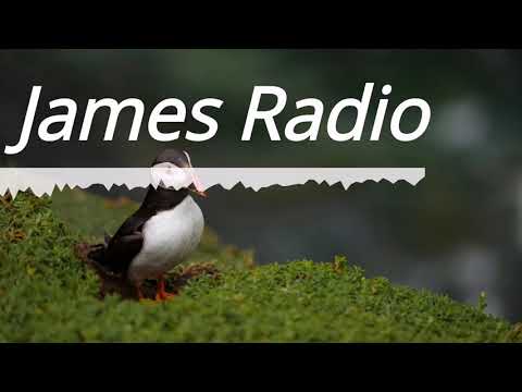 Maulik Ft. Liam Sturgess - Chances [COPYRIGHT FREE]