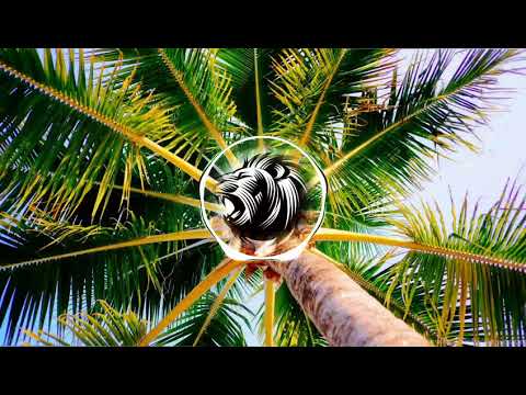 M U N D A J A M - DeeJay Grimm Rmx [Électro Funk & Reggaetton] 2K18 | 4 Selo Novilas