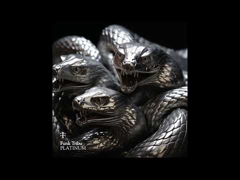 Funk Tribu - Platinum [TT04]