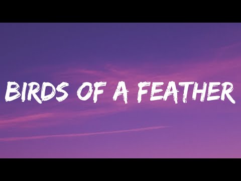 Billie Eilish - BIRDS OF A FEATHER (Lyrics)