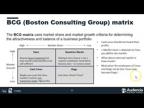 2020 Business Portfolio Management, BCG and McKinsey matrices