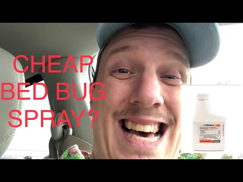 Bed Bug Spray Lowes