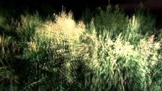 LACK - Aphelion [Morphine Records]