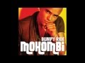 Mohombi ft. Pitbull - Bumpy Ride (DJ Shaggy ...