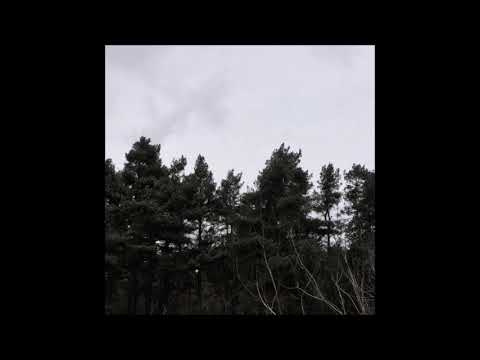 70. The Virus and Antidote - NightDividesTheDay (ft. Lambo Lawson) [24.03.2018]