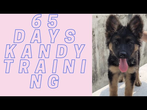 65 days Kandy training
