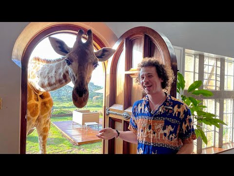The famous giraffe hotel in Africa : Is it worth spending SO MUCH?