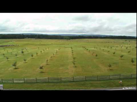 Pickett's Charge Commemorative Walk