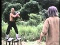 Shaolin Drunken Monk Training Scenes