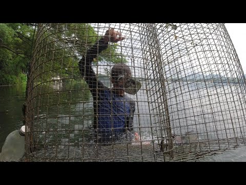 SE02EP97 Part 1 - Pag PANDAW at Pag HARVEST ng PATANGA - Sampalok Lake, San Pablo City, Laguna