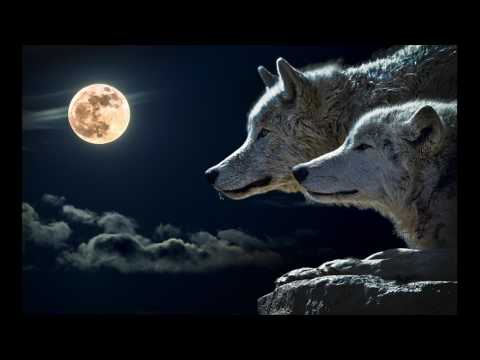 Unlocking The  Last  Days (  The  Future  Hidden In The Past !! ) Jacob Prasch