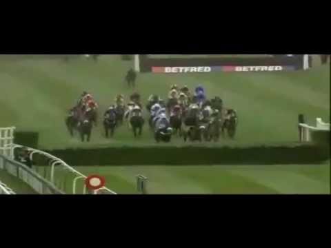 2014 Crabbie's Grand National Chase - Pineau De Re