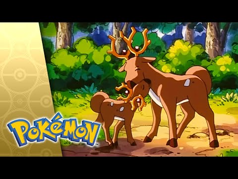The Little Big Horn! | POKÉMON FULL EPISODE 9 | Season 3